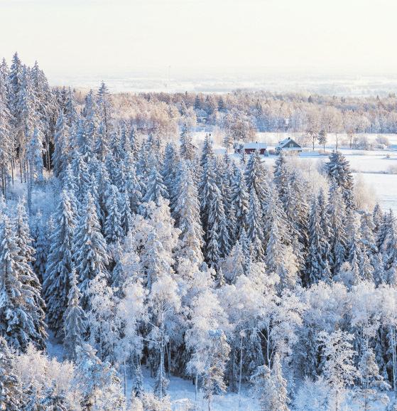 Vill du ha ett meningsfullt och viktigt sommarjobb inom äldreomsorg eller LSS i sommar? Välkommen att söka sommarjobb hos oss i Gagnefs kommun!