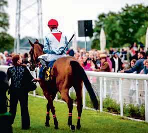 930 Uppfödare: Century Farms 18: 5 0-0-0 9.730 Ägare: Brunius Susanne Tränare: Susanne Brunius, Ekolsund (a) 17: 5 0-0-1 7.200 Bp 22/4-6 h64 2350 dt gd 2.