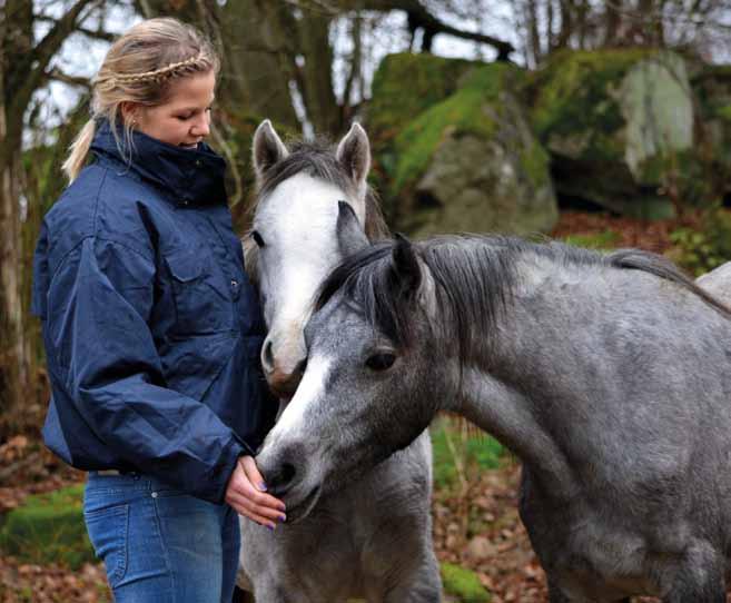 som inte går att förutse. Ibland kan det hända sådana saker när man testar en ny hingst.