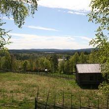 Fredag 8 Mars Visor och