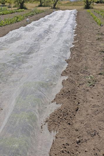 Vid försiktig användning har de kunnat återanvändas 8-15 säsonger. Nätet är uppbyggt av plasttrådar, och liknar ett fint myggnät. Det ute-stänger det mesta beroende på maskstorlek.