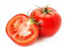 Zebrino Kärt barn har många namn Tomatplantan kom troligen till Europa i samband med en expedition till Mexiko på 1500-talet. I Italien fick tomaten namnet pomo d oro (guldäpple).