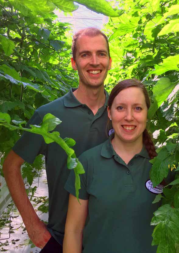 Möt tomatodlarna Anette och Peter van Schie som odlar kvisttomater på Gällenäs gård på en udde vid Vänern.