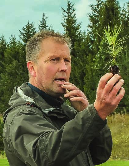 Under sommaren och hösten behandlar vi även plantorna med kemikalier som förhindrar gråmögel, tallskytte och andra oönskade angrepp. Varför höstplantera?