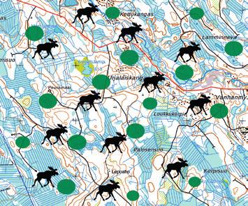 Tillgången på föda är den faktor som har störst inverkan på mängden föda som älgarna använder, såväl på sommaren som på vintern.