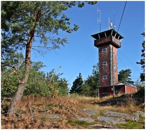 Promenad och Grillning vid Fjälkinge backe Dag: Söndag 10