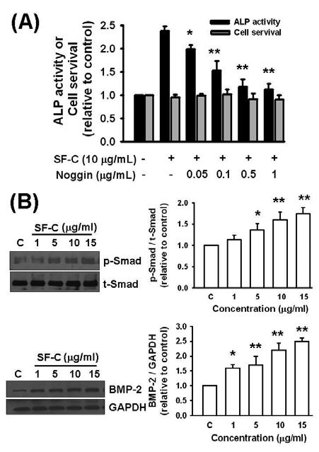 Wen-Fei Chiou, Chien-Chih Chen, Ming-Hung Hung 7 stimulation of cells with SF-C for 30 min induced an activation of Smad1/5/8 in a concentration-dependent manner, as revealed by increased