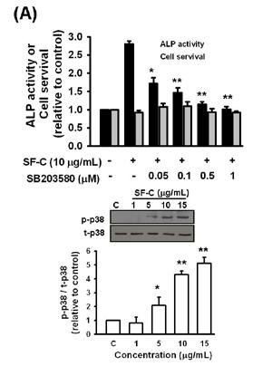 8 Sambucus formosana stimulates differentiation of MC3T3-E1 osteoblasts Fig. 6.