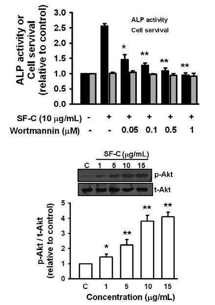 Wen-Fei Chiou, Chien-Chih Chen, Ming-Hung Hung 9 Fig. 7. effect of wortmannin (a PI3K inhibitor) on SF-C induced ALP activity and cell viability in MC3T3-E1 osteoblastic cells.