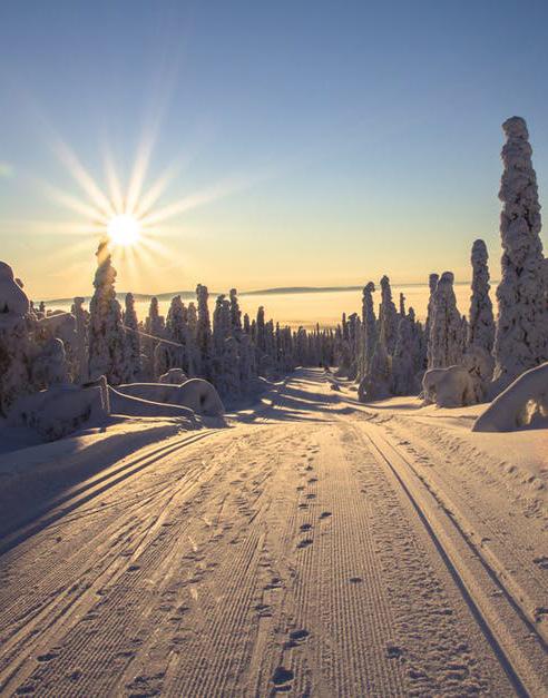 kommun under året som gått.