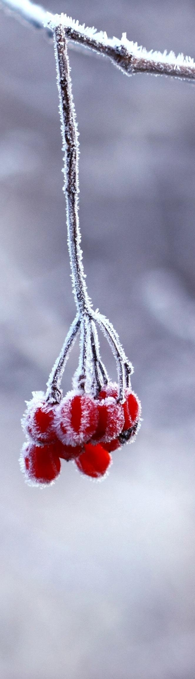 i Äppelbo kyrka lördagen den 16 februari kl. 10.00. Alla som önskar närvara hälsas varmt välkomna. Akten avslutas i kyrkan. Istället för blommor, tänk gärna på Cancerfonden.