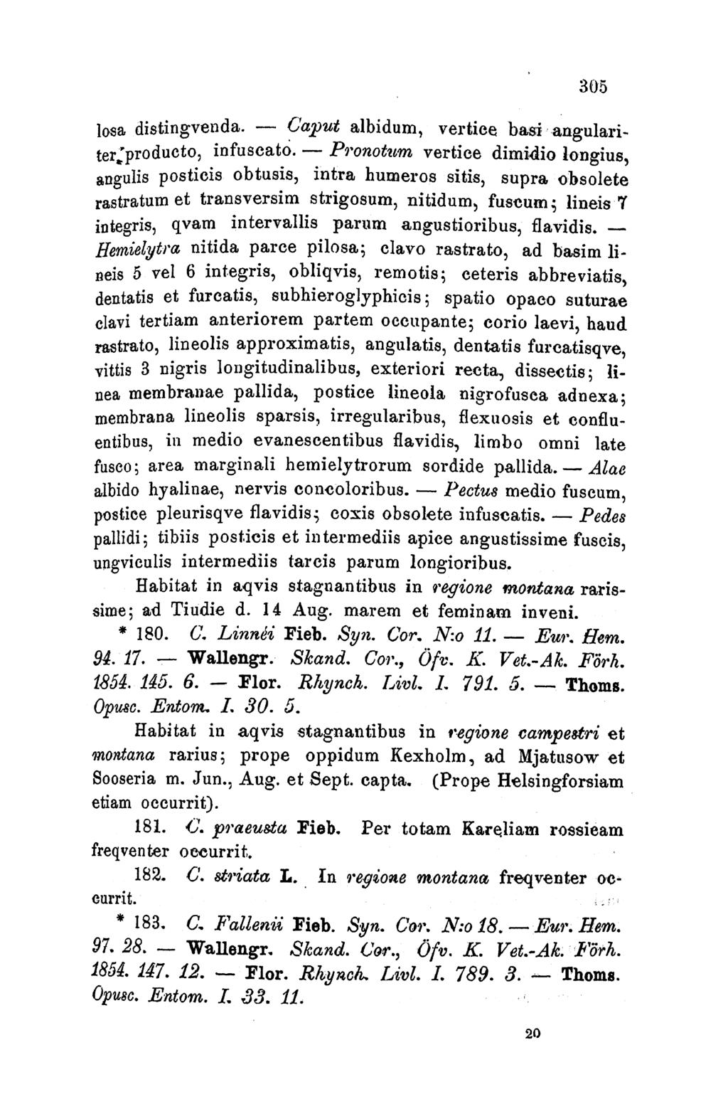 30.5 losa distingvenda. - Ca put albidum, vertien basi angulariter-producto, infuscato.