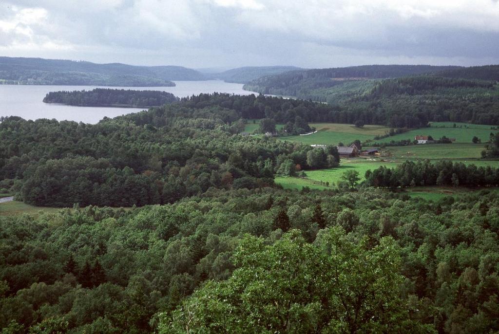 Områdets areal fördelat på ägoslag Län Areal Vattenareal Landareal (ha) Ej skogsmark Skogsmark (ha) (ha) (ha) (ha) (ha) Kronobergs län 924 213 94 741 829 472 168 376 661 096 Förekomst av