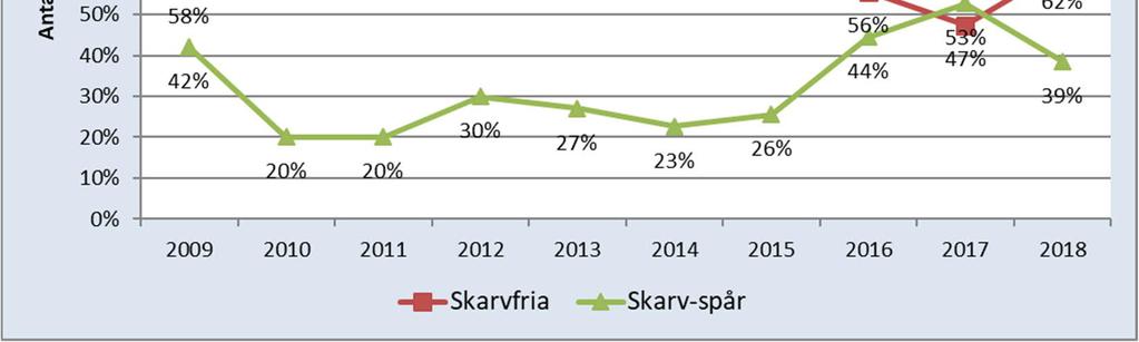 Skarvspåren utgör ca 20 % av den totala mängden spår i anläggningen och ca 28 % om sidospåren inkluderas.
