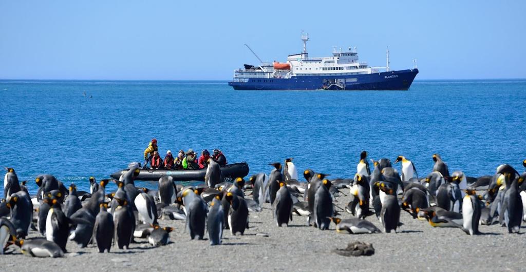 Expedition Sydatlantens ensliga öar Sydgeorgien Tristan da Cunha St Helena Vårt fartyg m/v Plancius har tillbringat vintersäsongen, The Austral summer, i Antarktis och vänder i mars norrut för att