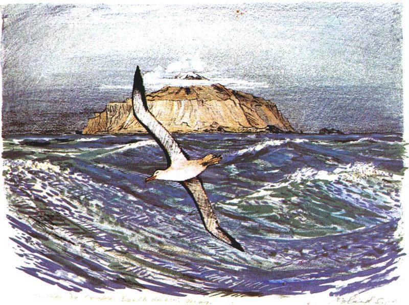 Dag 9 13 den 6 10 april: Vi seglar vidare mot Gough Island och Tristan da Cunha ut ur konvergensen med chans att få se mera sjöfågel och andra arter i skyn.