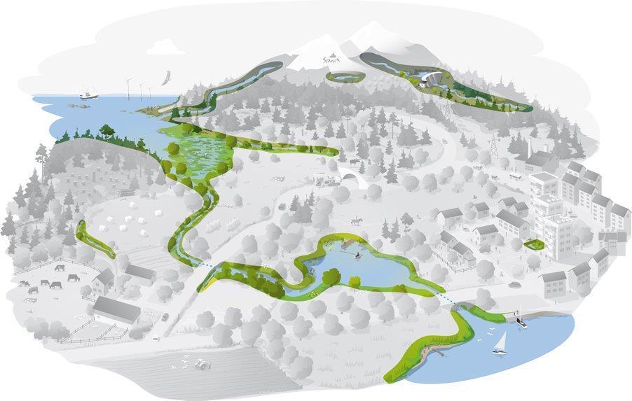 Grön infrastruktur är nätverk av natur som bidrar till fungerande