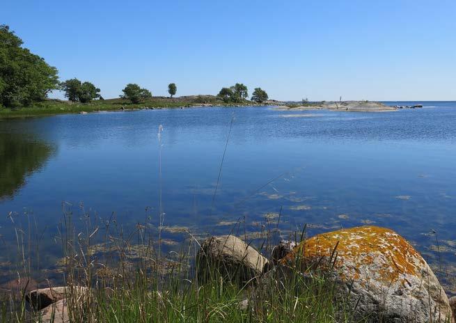 HAV I BALANS SAMT LEVANDE KUST OCH SKÄRGÅRD 8 FIGUR 23. Vy över en grund vik från södra delen på Hartsö. Foto: Anna Ingvarson, Länsstyrelsen i Södermanland.