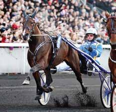 : LOPP b Solvtos Stoserie - omgång -årig oh äldre ston. -. kr. m. Autostrt. strtnde. Spårtrpp. Pris:.-.-.-.-.-(.)- (.) kr. Hederspsris till segrnde hästs ägre. Hederstäke till segrnde häst.