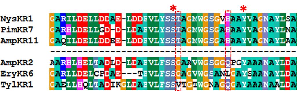 with epimerase-inactive KR domains from polyketide