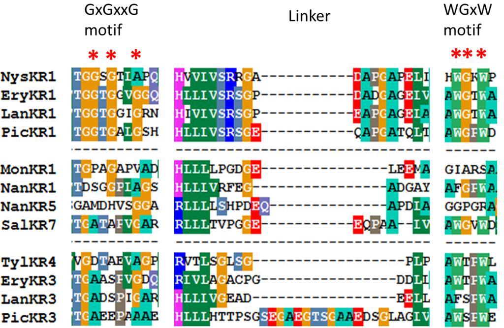 Figure S1. Mega3.0 (http://www.megasoftware.