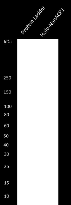 LC-QTOF-MS