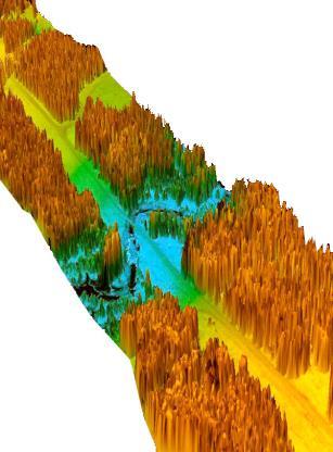 Photo type LIDAR, 3D surface of Land Op ički radar (L AR=Light Detecting and Ranging), pokazuje snimak stanja p vrši e ze ljiš a (Sl.