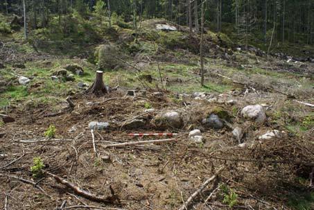 12 Bohusläns museum 2008:9 H istorisk a lämningar Vid besiktning av området påträffades dessutom ett antal kulturhistoriska lämningar i form av husgrunder, spisrösen och stensträngar, vilka