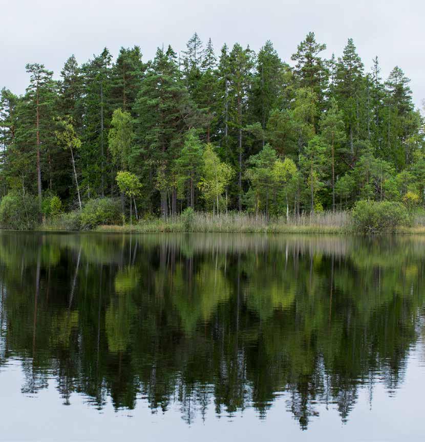 VIDANYTT #1 2019 VIDA OCH VÄXANDE VÄRDEN Hög tid för