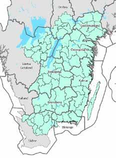 så många färska angrepp som möjligt hittas tidigt. Det kommer också ge oss på Vida större möjlighet att hjälpa fler skogsägare med att få bort barkborrarna från skogen.