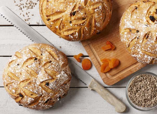 Gluten- och laktosfri mix för matbröd och vetebröd Glutenfri Tasty LF TA VARA PÅ den här möjligheten att ta del av en stor och växande marknad.