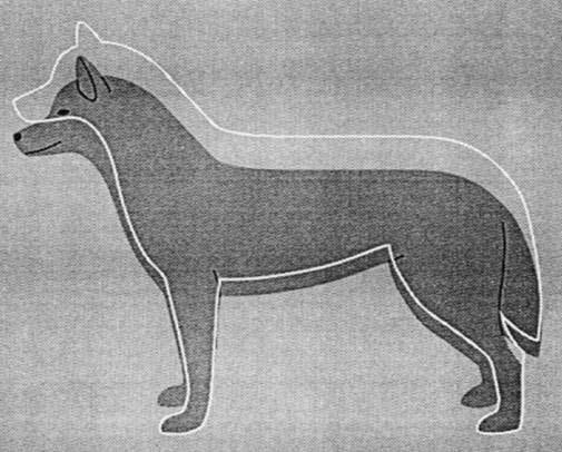 Den mörka siluetten uppvisar korrekt kroppsdjup i förhållande till frambenets längd, däremot är inte kroppen lång nog för hundens höjd.