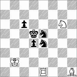 The problem should have a special kind of twin: in mating position the color of mating piece is changed to black.