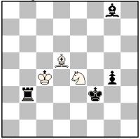 Bxe7-e8(bQf8)+ Kc5# Realisation of bk-cross in mating moves in combination with bq captures and Pin-mates is difficult task, which somehow compensating the bad twins form. 1.