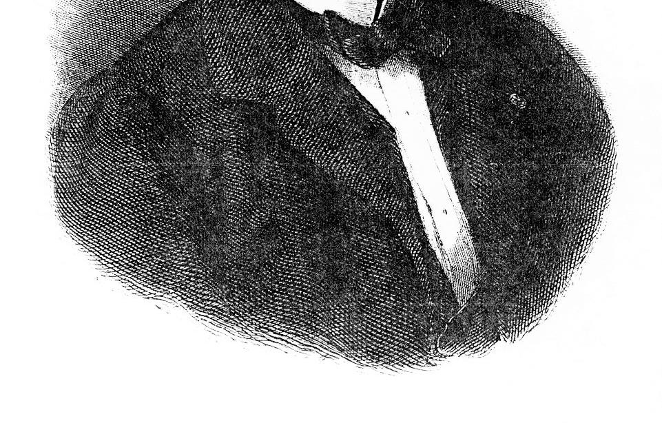 Léon Foucault is best known for the Foucault Pendulum, a device
