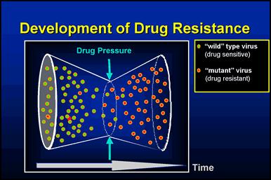 Pre-existing polymorphisms and acquired resistence Small single-stranded RNA virus Very high replication rate 10 12 virus particles/day RNA polymerase lacks proof reading