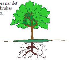 skogens