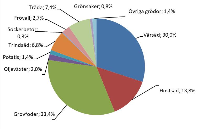 Vårsäd 33 % Höstsäd 31