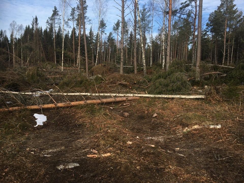 ALFRIDA, forts... Från Sverige fick vi erbjudande om hjälp från flera företag lite senare och vi tog in ett antal företag som kunde ställa upp med flera montörer.