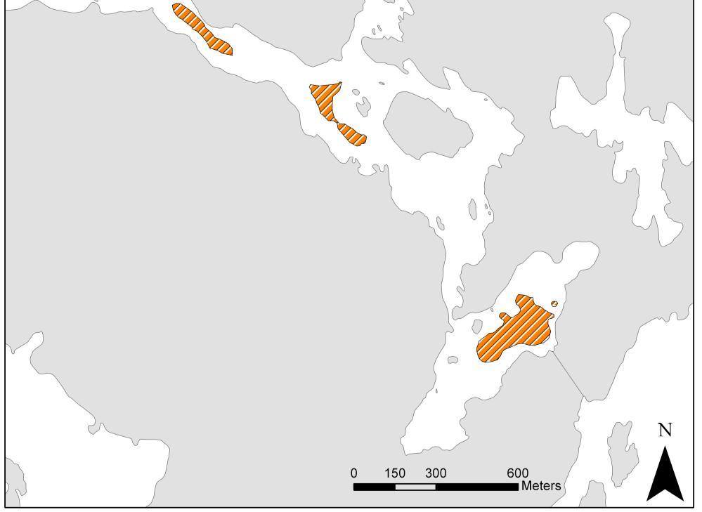 Utbredningen av syrefria bottnar i månadsskiftet augusti-september 2011 baserat på syremätningar och djupkarta.