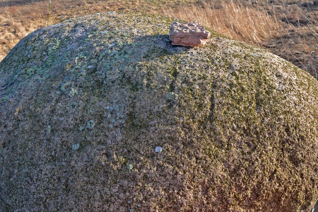 Undersökningens bakgrund och resultat Med anledning av att Naturvårdsingenjörerna AB planerade anlägga öppna vattenytor inom Finnamosse våtmarksområde i vars omedelbara närhet två fornlämningar finns