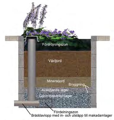 Biofilter typ 3. Variant för träd med extra stor fördröjningsvolym Figur: Tengbomgruppen AB, 2014.