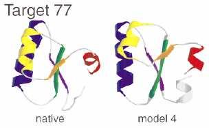 Rosetta: an algorithm for ab initio structure prediction Critical Assessment of