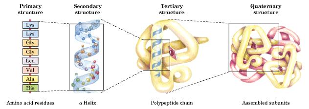 States Used in Rosetta State = Discrete Conformational Unit