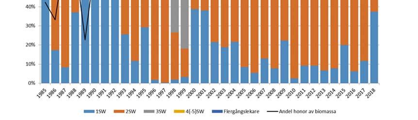 De årliga stickprovsstorlekarna (antalet fjällprov för analys) har varierat mellan 27 783 individer (under de senaste fem åren mellan 414 783).