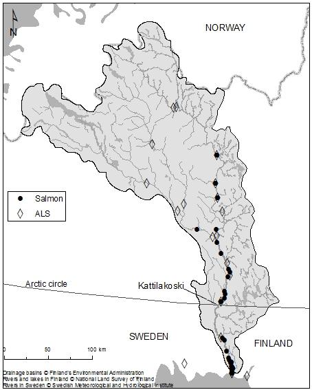 18 (52) platser längre uppströms (Tornio Kukkola, Pello och Kengis). Sammanfattningsvis utfördes märkningarna av lax huvudsakligen enligt plan, särskilt vid älvmynningen.