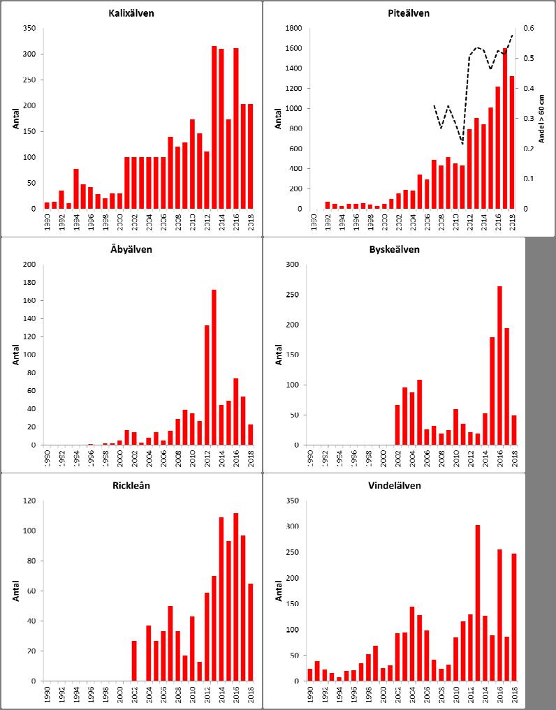 29 (52) Figur 3.1. Uppvandring av havsöring (1990 2018) i sex svenska vattendrag. Data för 2018 är preliminära.