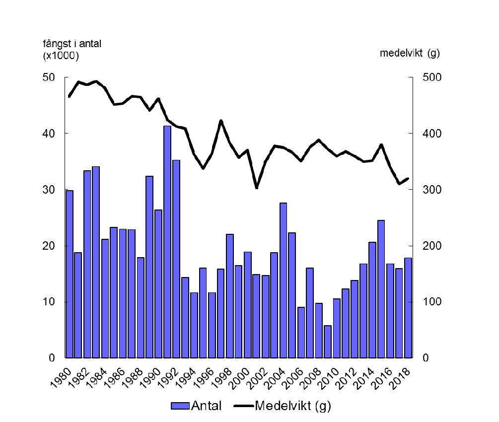 44 (52) Figur 4.4. Finskt håvfiske efter sik i Kukkolaforsarna, 1980 2018. Staplarna anger fångst (antal individer) medan linjen visar årlig medelvikt (g). Data från finska håvfiske gruppen.