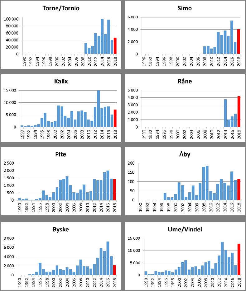 7 (52) Figur 2.1. Uppvandring 1990 2018 av lax i åtta vildlaxälvar kring Bottniska viken (röda staplar indikerar delvis preliminära data).