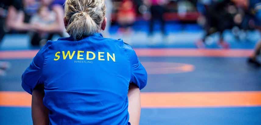 Sport EM VM Guld Jonna Malmgren Denise Dakota Ström Jenny Fransson Senior Guld Jarko Wester Roger Sjöqvist Jimmy Samuelsson Silver Johanna Lindborg Brons Angelica Zettervall Julia Fridlund Niklas